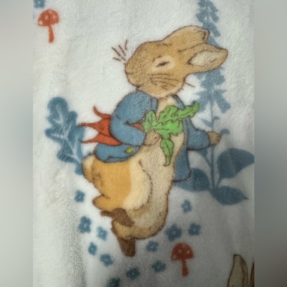 Peter Rabbit Easter Blanket🐰 - Picture 5 of 5